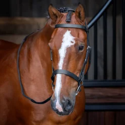 Velociti RAPIDA Hunter Cavesson Bridle^Shires Equestrian Online