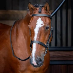 Velociti RAPIDA Hunter Cavesson Bridle^Shires Equestrian Online