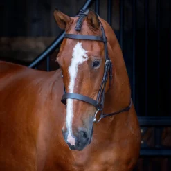 Velociti RAPIDA Hunter Cavesson Bridle^Shires Equestrian Online