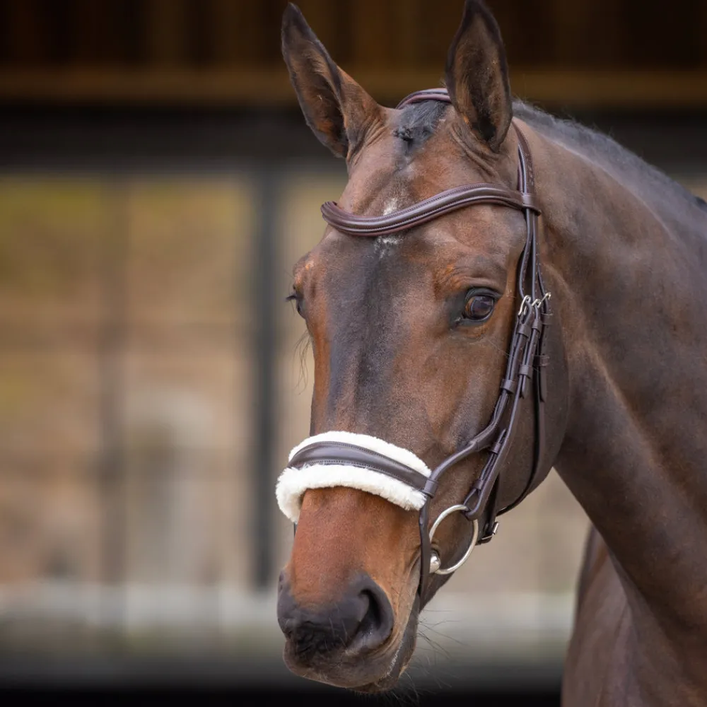 Velociti RAPIDA Rolled Fleece Lined Cavesson Noseband^Shires Equestrian Hot