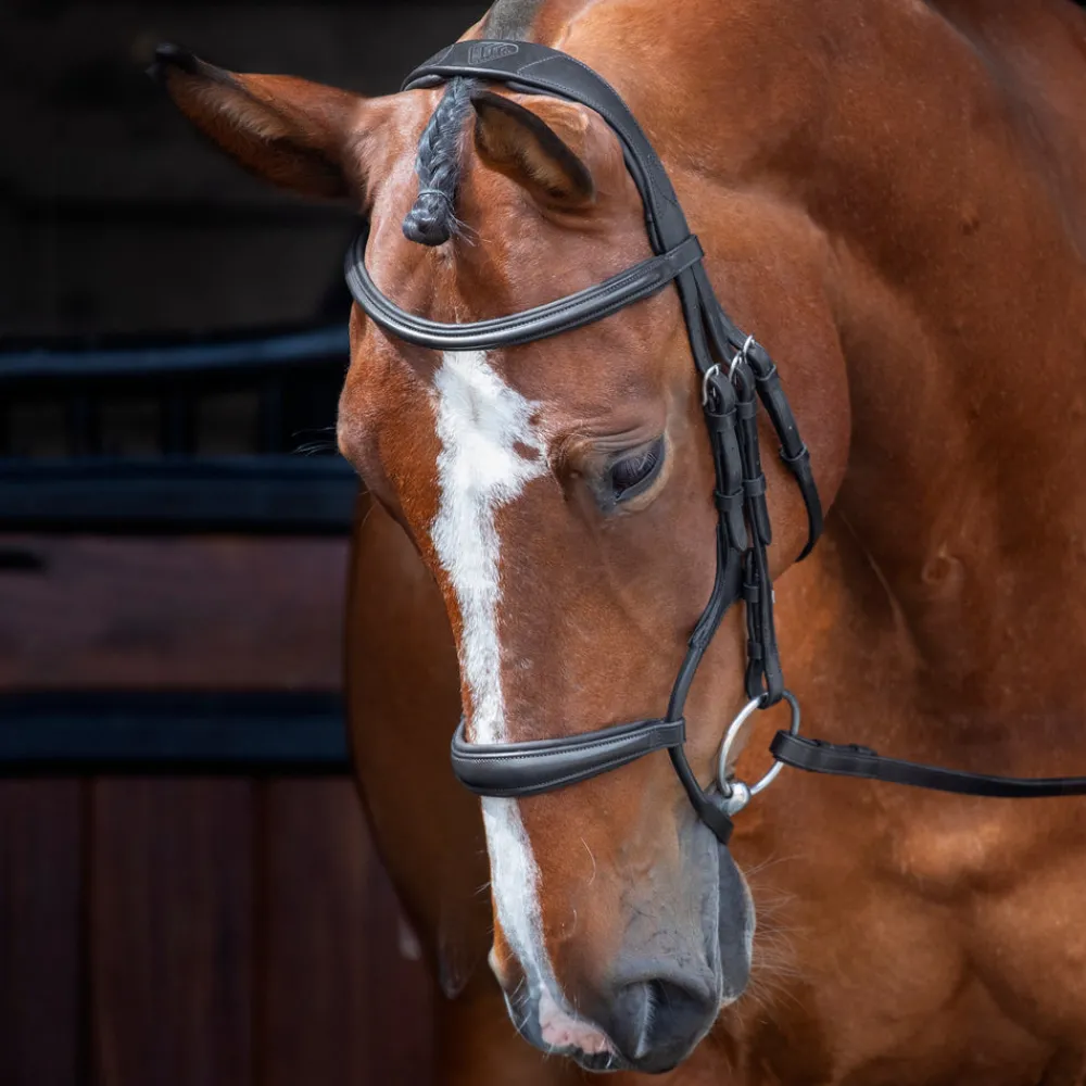 Velociti RAPIDA Rolled Padded Cavesson Bridle^Shires Equestrian Online