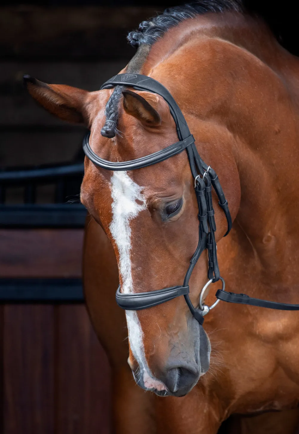 Velociti RAPIDA Rolled Padded Cavesson Bridle^Shires Equestrian Online