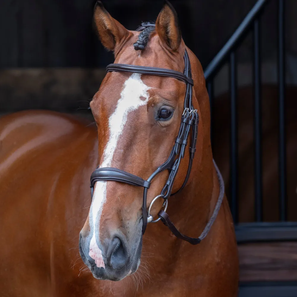 Velociti RAPIDA Rolled Padded Cavesson Bridle^Shires Equestrian Online