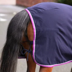 Winnie & Me Stable Sheet^Shires Equestrian Sale